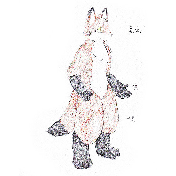 陽狐（ようこ）