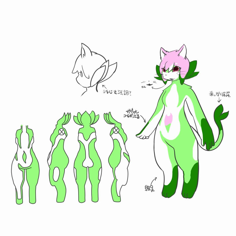 シーニャ