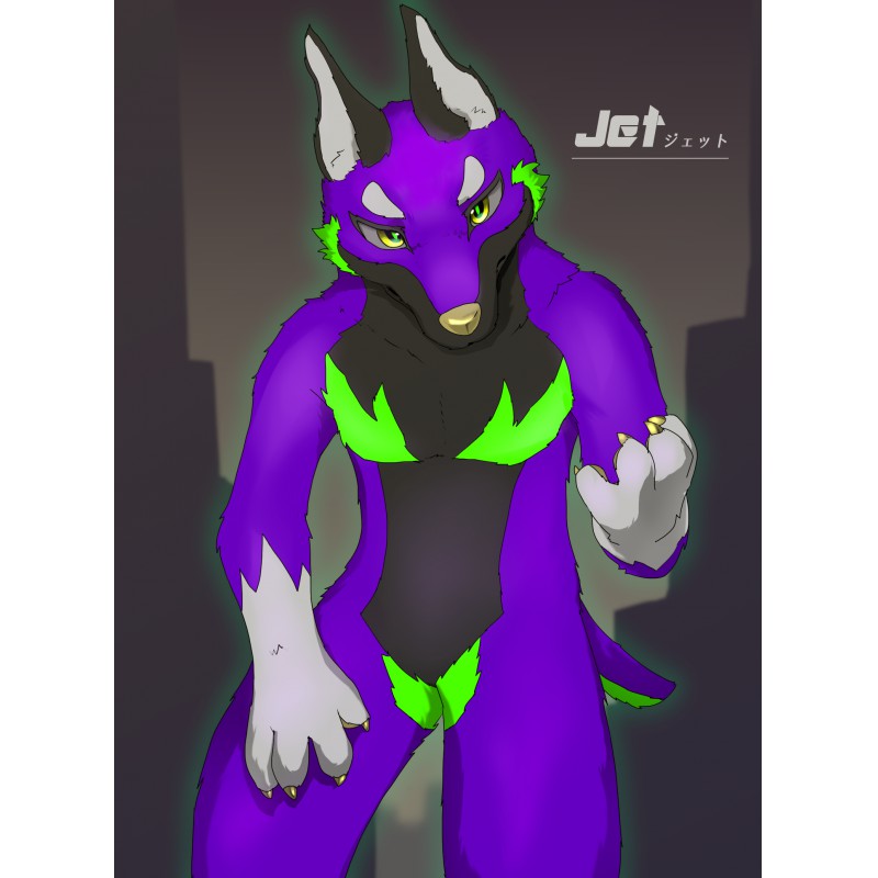 ジェット
