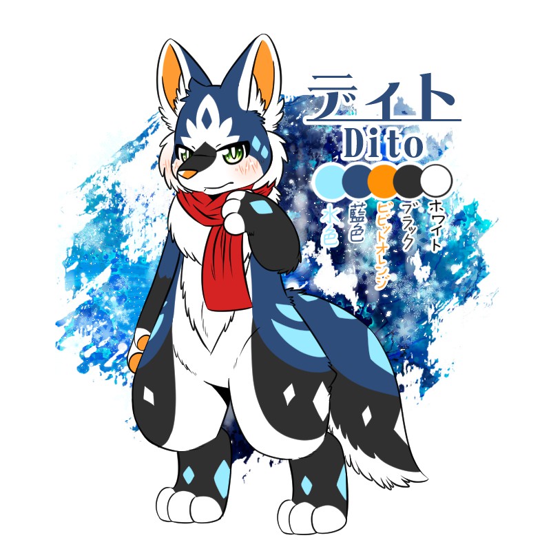 ディト