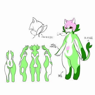 シーニャ