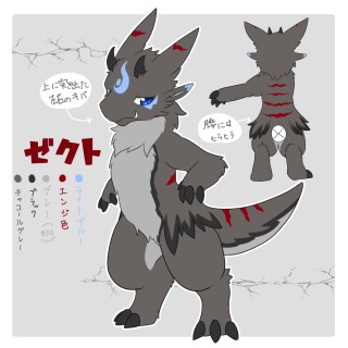 ゼクト