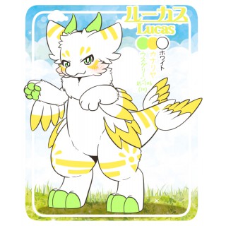 ルーカス