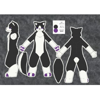 メディル