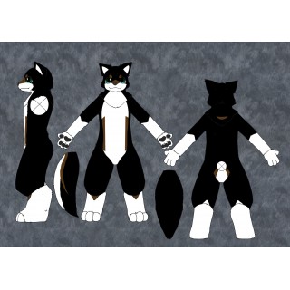 バム