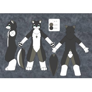 スート