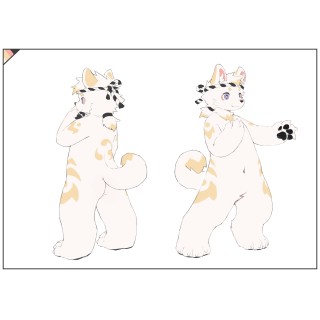 マル