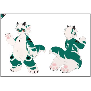 タイド